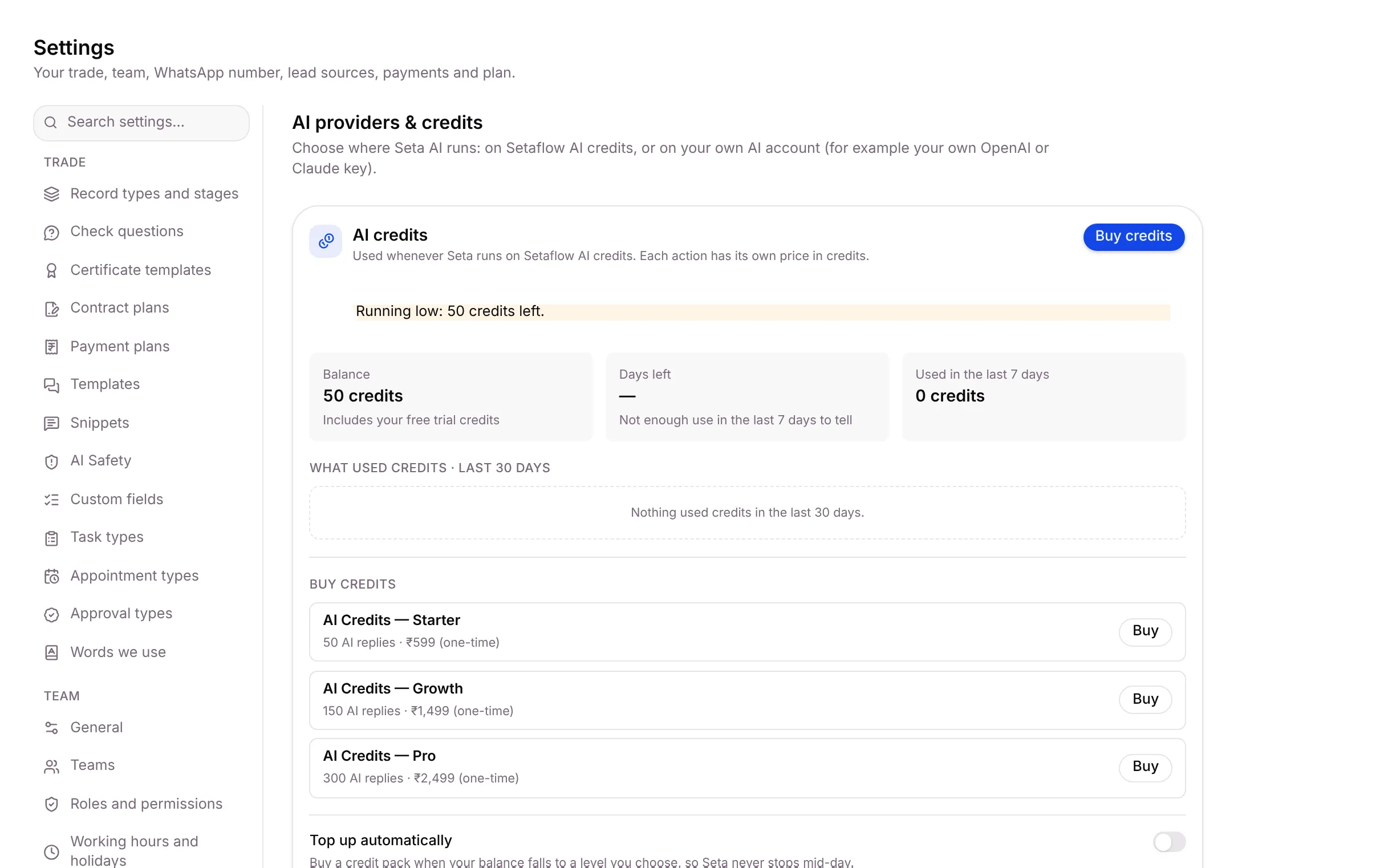 The AI providers & credits tab with the AI credits card